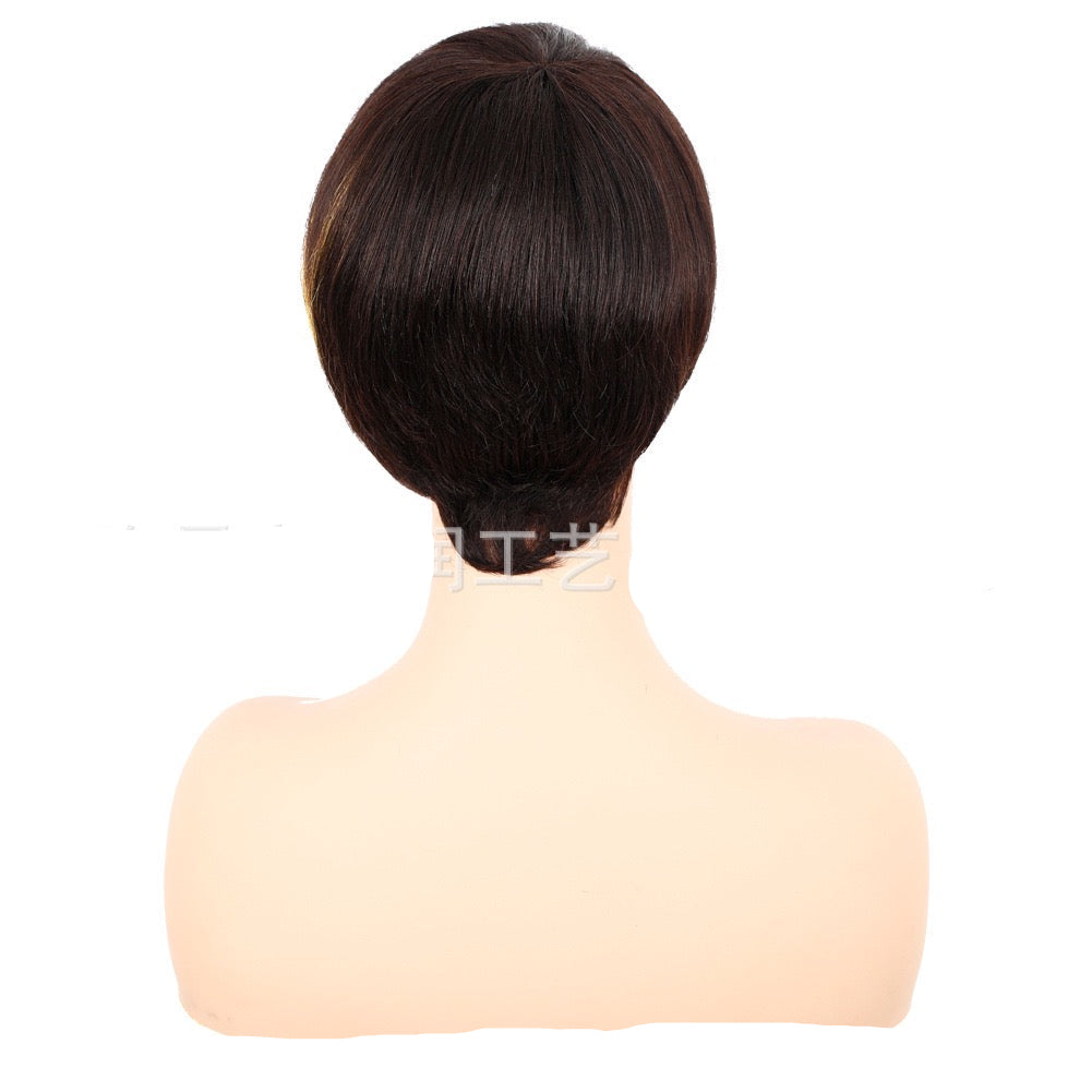 Short Pixie Cut Wig Human Hair Glueless Straight Pixie Wig Multicolor with Black Color for Black Women