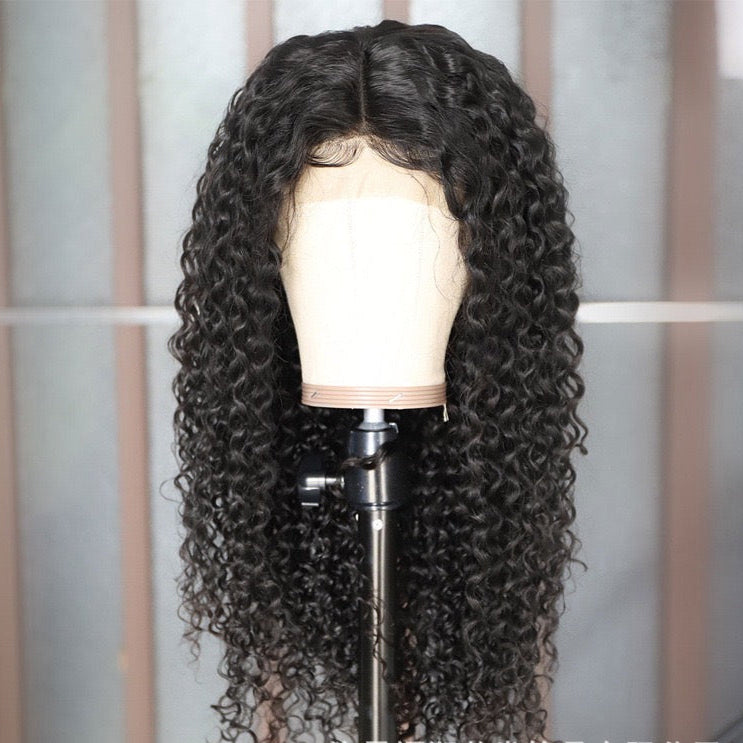 4x4 Lace Closure Wig Curly Human Hair 150% Density for Black Women