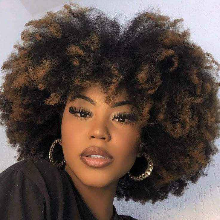 Highlight Afro Wig Human Hair Short Afro Kinky Curly Wig for Black Women