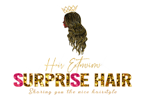 SurpriseHair logo