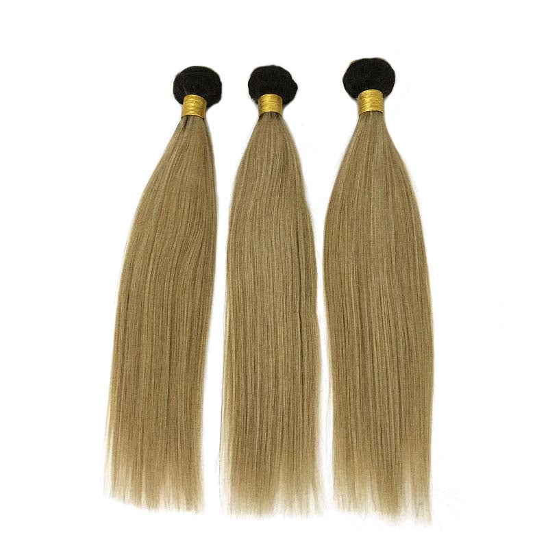 1b27 ombre brown straight hair