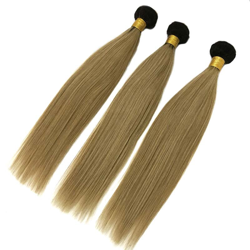 1b27 ombre brown straight human hair
