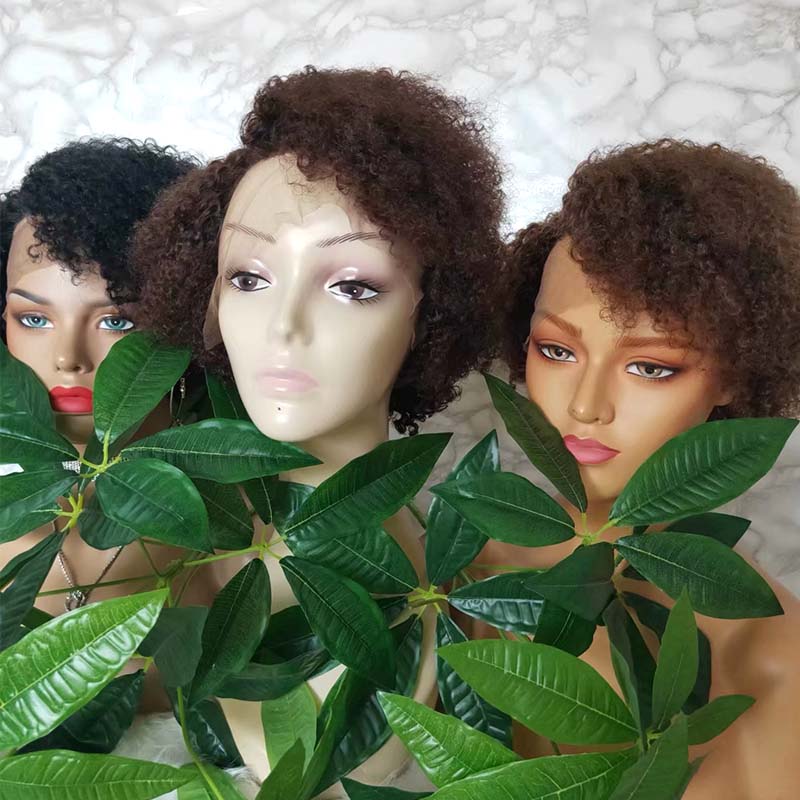 Brazilian hair curly pixie cut human hair wig lace frontal