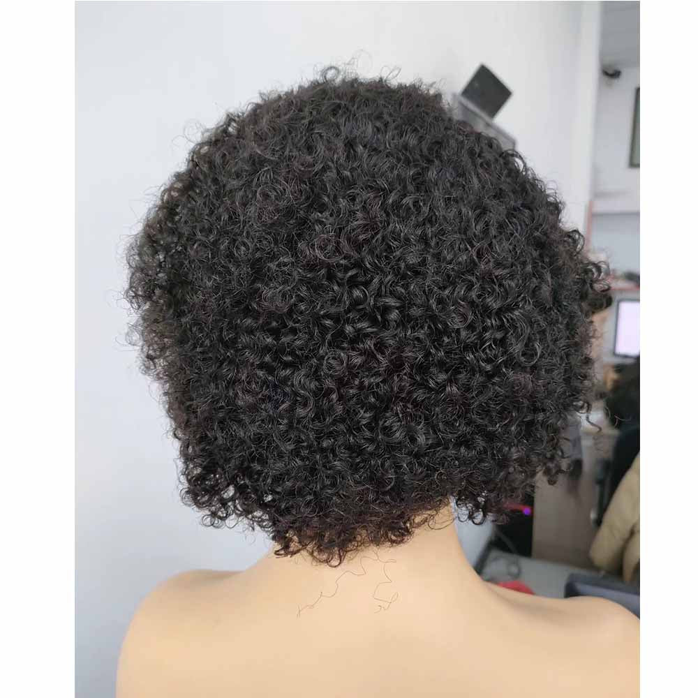 Kinky Curly Pixie Cut Wig Human Hair Lace Front Wigs for Black Women