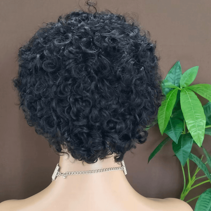Brazilian Curly Pixie Cut Wig Human Hair Lace Frontal for African American-3