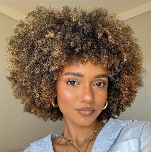 Highlight Afro Human Hair Wig Short Kinky Curly Wig For African American