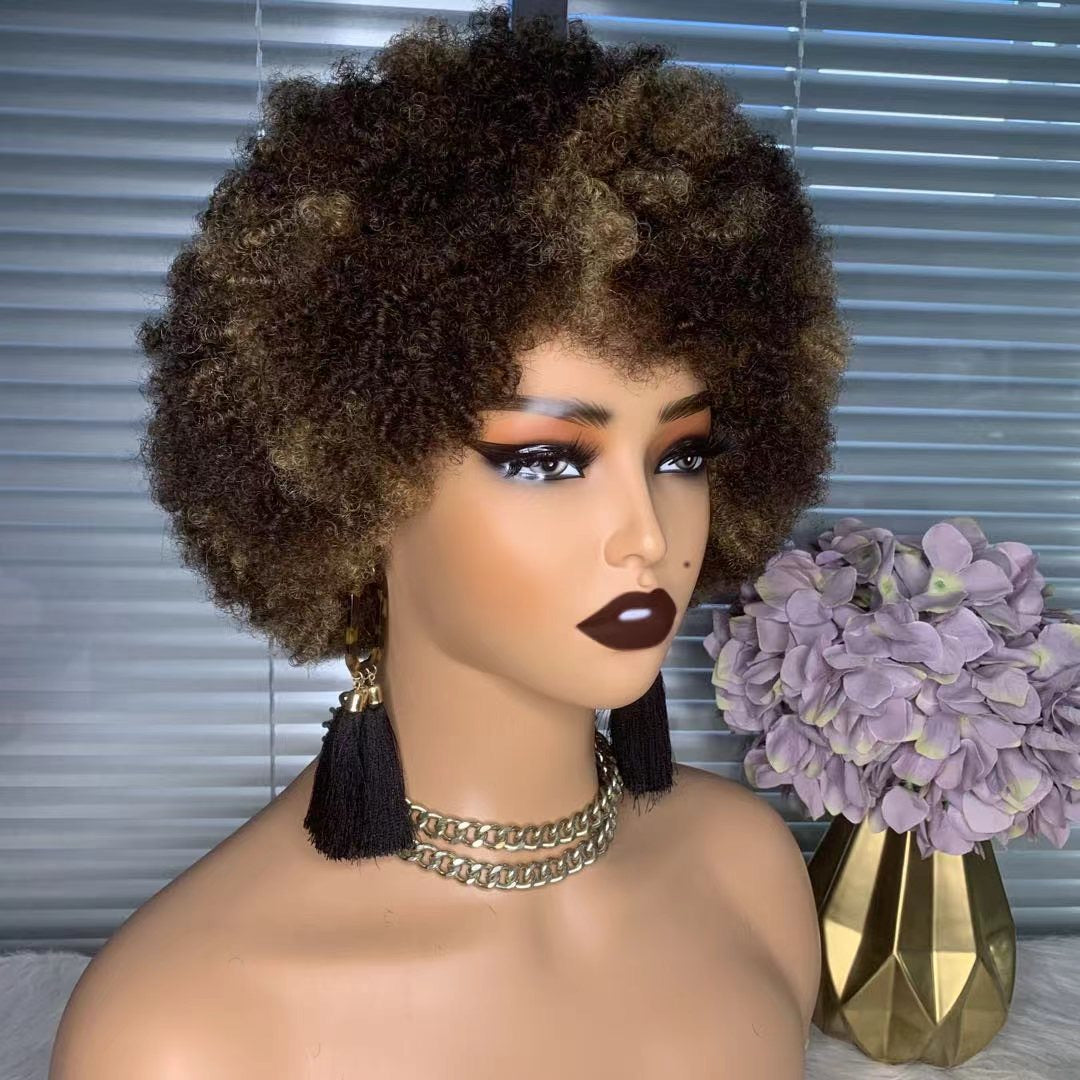 Brown Highlight Afro Wig Human Hair Short Afro Kinky Curly Wig for Black Women
