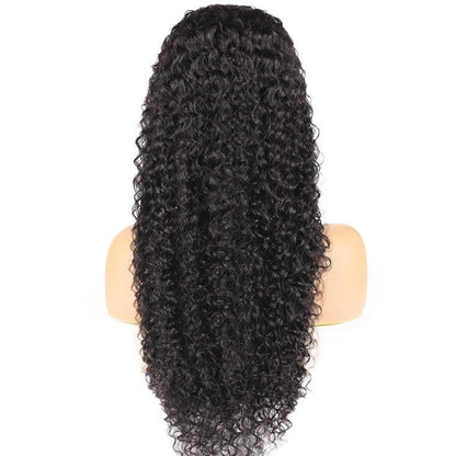 4x4 Lace Closure Wig Curly Human Hair 150% Density for Black Women