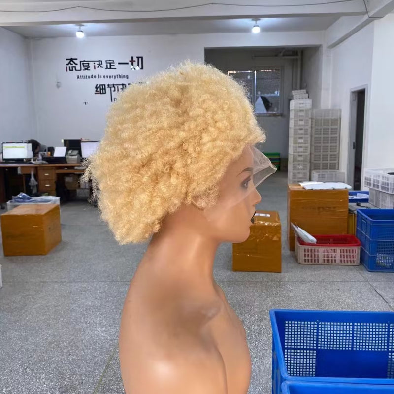 Short Human Hair Blonde Afro Wig Lace Front Brazilian Hair for Black Women