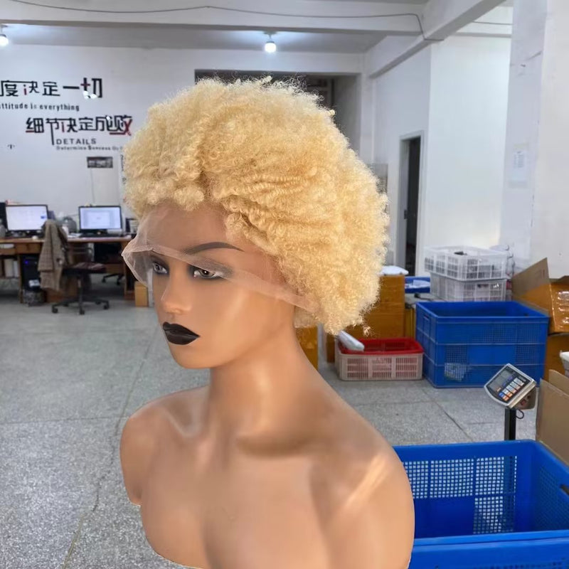 Short Human Hair Blonde Afro Wig Lace Front Brazilian Hair for Black Women