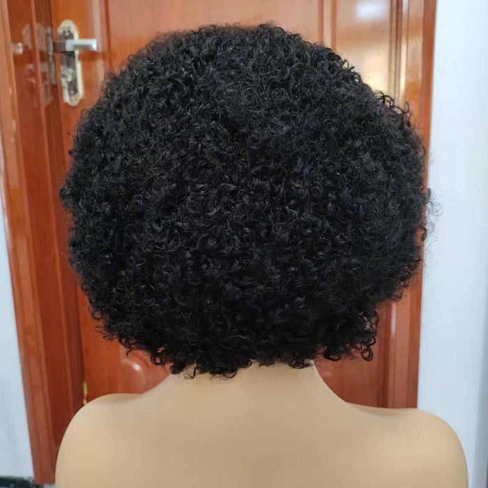 Afro Kinky Curly Pixie Cut Wig Human Hair 13x4 Lace Frontal Wig for Black Women