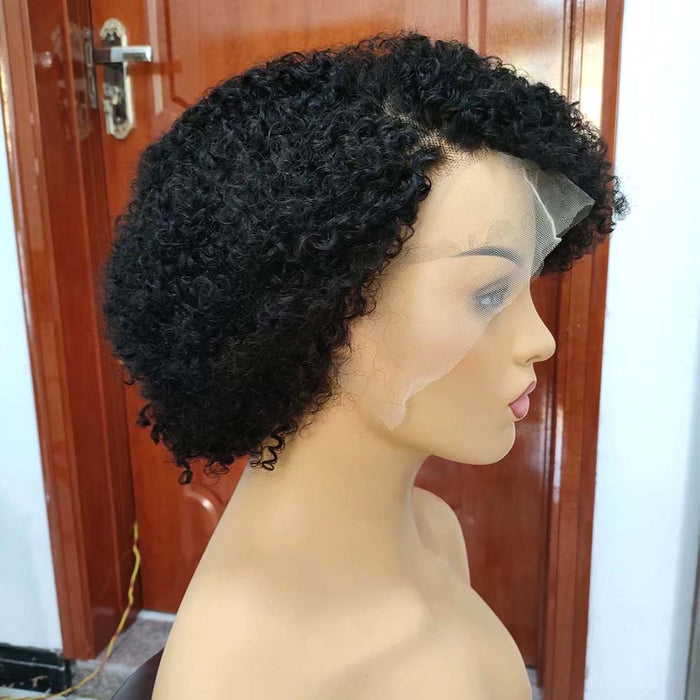 afro kinky human hair lace wig