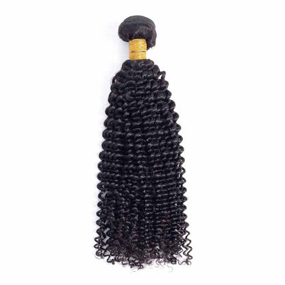 brazilian kinky curly human hair