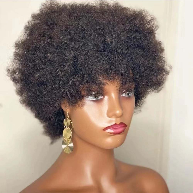 Natural Afro Human Hair Wig For African American